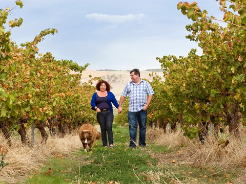 WayWood Wines - Renee 0