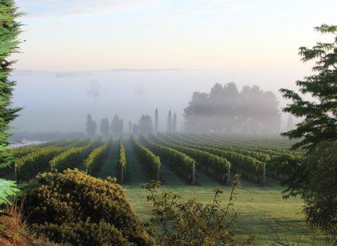 Cherry Tree Hill Wines - Renee 2