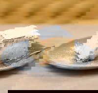 The Vanilla Slice Cafe Sorrento - Qld Realsetate