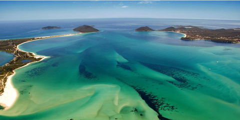 Douglass Port Stephens Real Estate - Renee 0