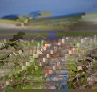 Kurtz Family Vineyards - Renee