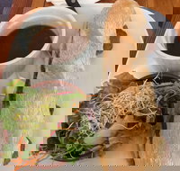 The Palms Cafe - Swimm