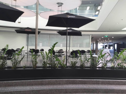 Basia Mille - Renee 0