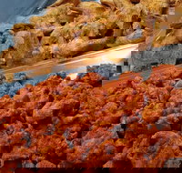 Spice Blast - Qld Realsetate