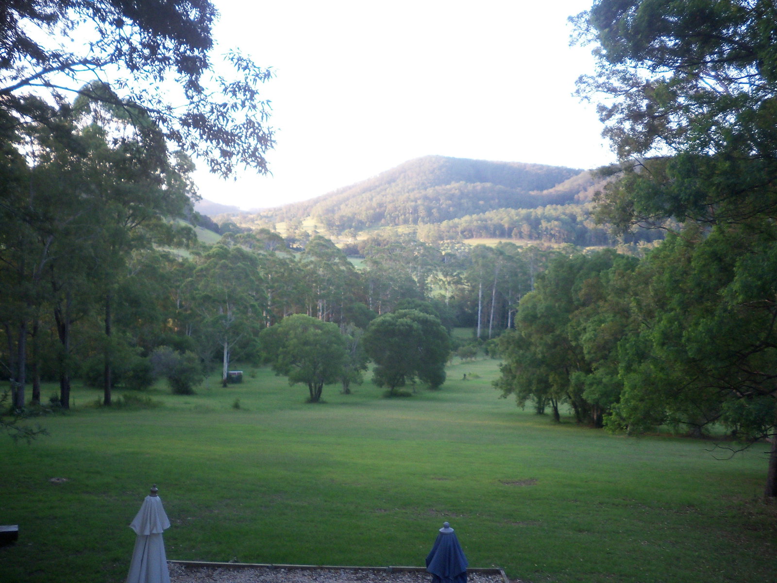 Food Delivery Byabarra NSW Renee