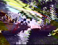 Feral Brewing Company