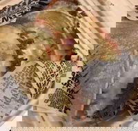 Guzman Y Gomez - Perth Airport - Renee