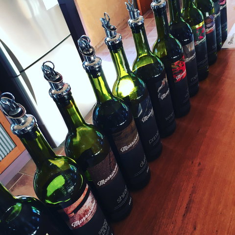 Morrisons Of Glenrowan - Renee 1