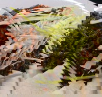 Rising Sun Hotel - Renee