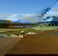 Thomson Brook Wines - Renee