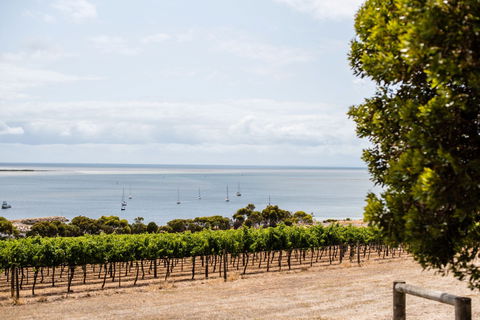 Bay Of Shoals Wines - Internet Find 2