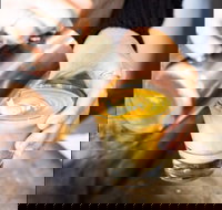 Espresso 3094 - Internet Find