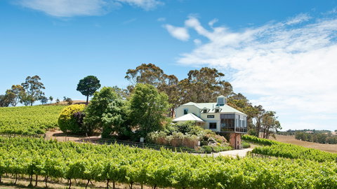 Hahndorf Hill Winery - Swimm 1