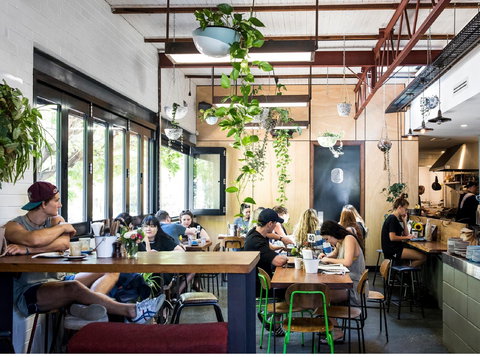 Hylin - Internet Find 0