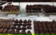 Mayfield Chocolates - thumb 0