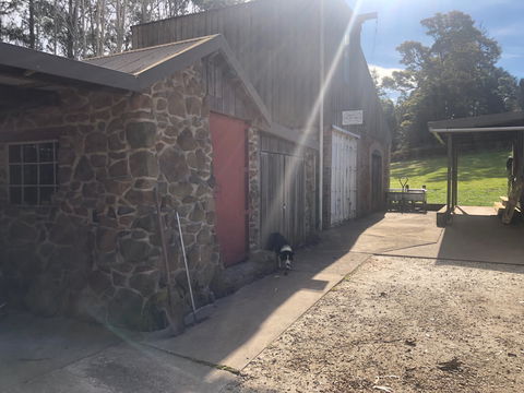 Wilmot Hills Orchard & Distillery - Renee 1