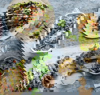 Zambrero Griffith - Renee