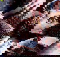 Bluebonnet - Internet Find