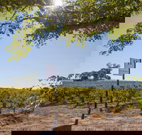 Hayes Family Wines - Qld Realsetate