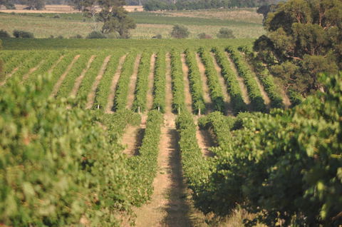 John Gehrig Wines Rutherglen - Internet Find 2