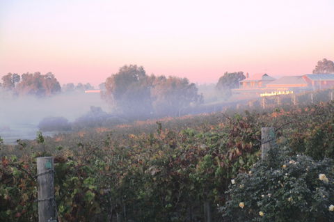 Sittella Winery & Restaurant - Renee 1