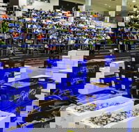 Sydney Fish Market - Petrol Stations