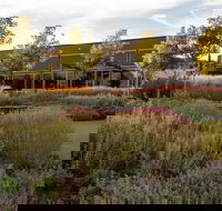 Barossa Valley Estate Cellar Door  Gardens - Internet Find