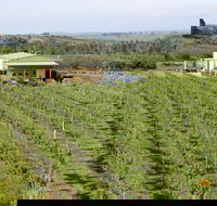 Dindima Wines - Qld Realsetate