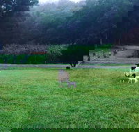 Goat Hill Farm - Renee