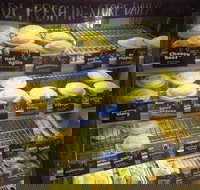 Jesters - Midland - Internet Find