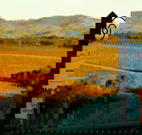 Seize the Day Wines - Internet Find