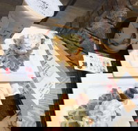 Blackball - Hurstville - Renee