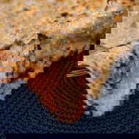 Haweli Indian - Wanneroo