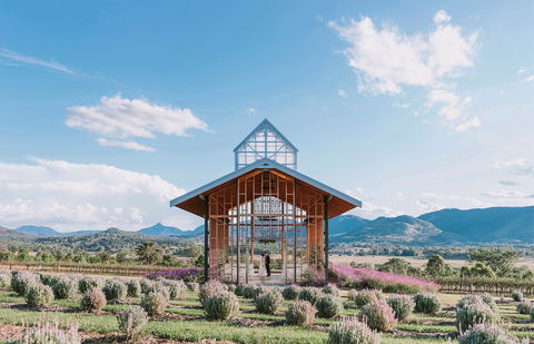 Kooroomba Vineyard And Lavender Farm - Internet Find 0