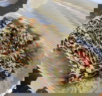 Meshiya Japanese - Renee