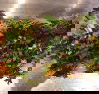 Mithai Junction - Qld Realsetate