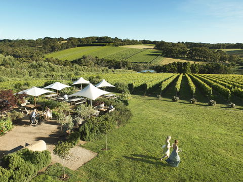 Montalto - Renee 0