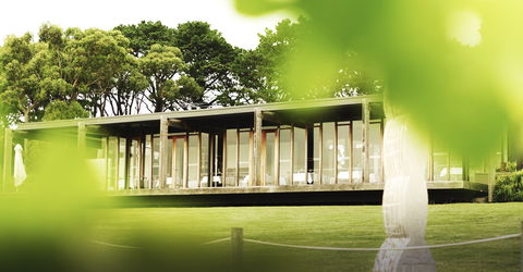 Montalto - Renee 1