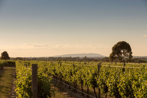 Norton Estate Wines - Internet Find 2