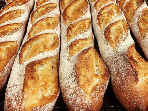 Rottnest Bakery - Internet Find 2