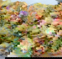 La Pagnotta Bakery  Cafe Malaga - Renee