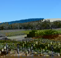 Twisted River Wines - Swimm