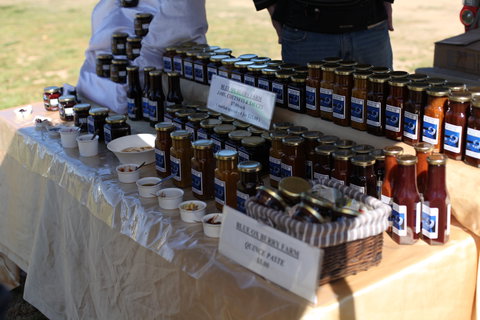 Blue Ox Berries - Renee 0