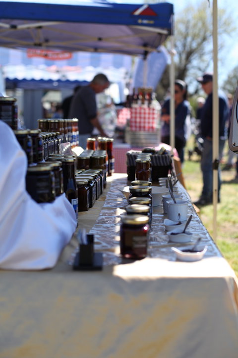 Blue Ox Berries - Renee 2