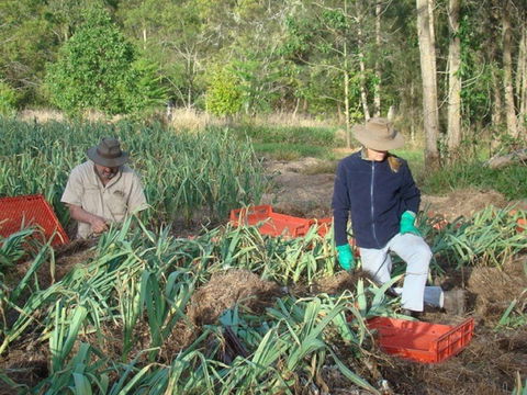 Sweet Water Farm - Renee 0
