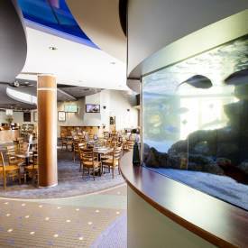 Pub Mooloolaba - Renee 3