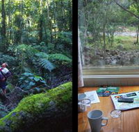 Mt Warning Rainforest Park - Renee