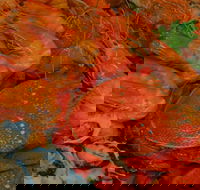 Charis Seafood - Renee