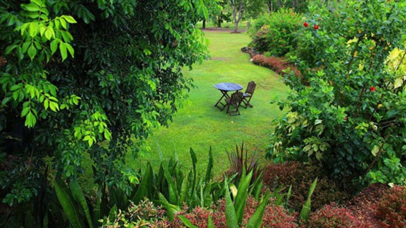 Emerald Springs NT Swimm