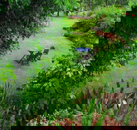 Emerald Springs - Swimm